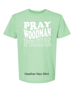 Pride T-Shirt (8 color options) {PWS}